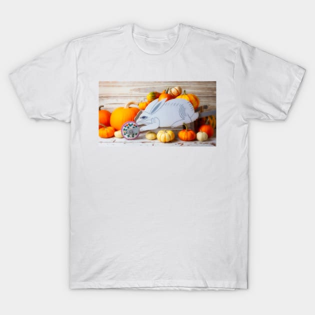 Rabbit Wheelbarrow With Pumpkins T-Shirt by photogarry